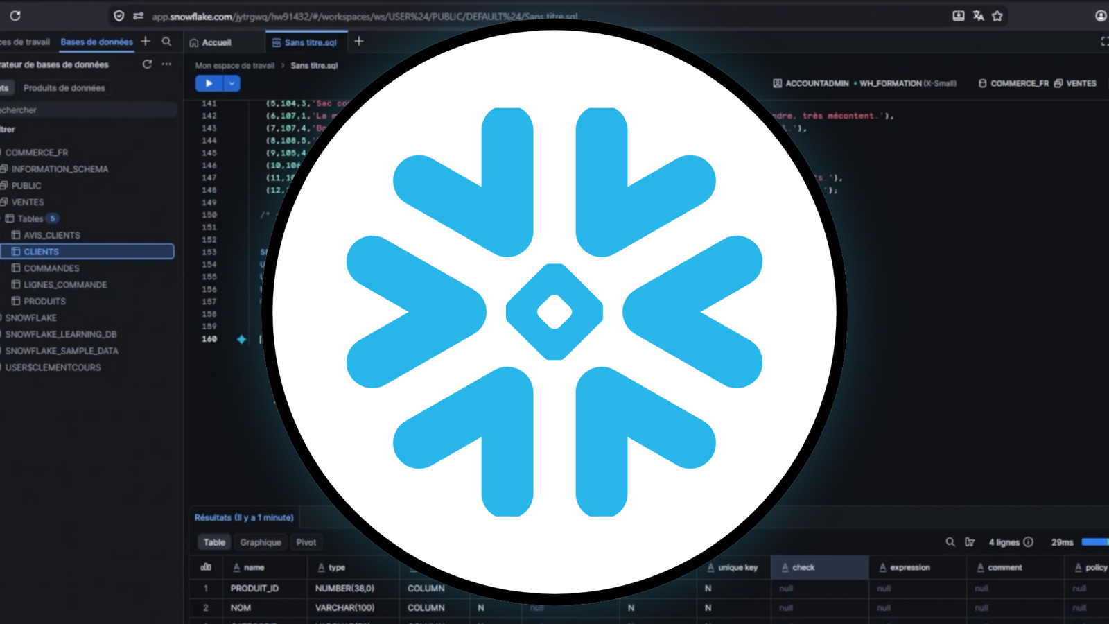 Formation Snowflake : Le Guide Complet du Data Warehouse